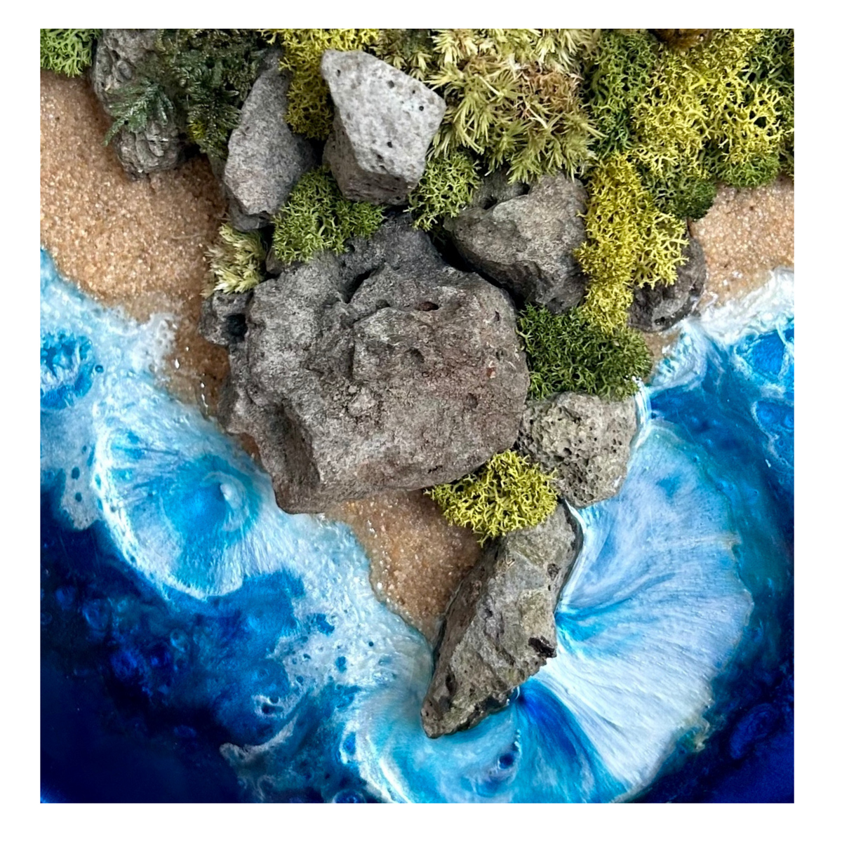 Moosbilder & Meerbilder