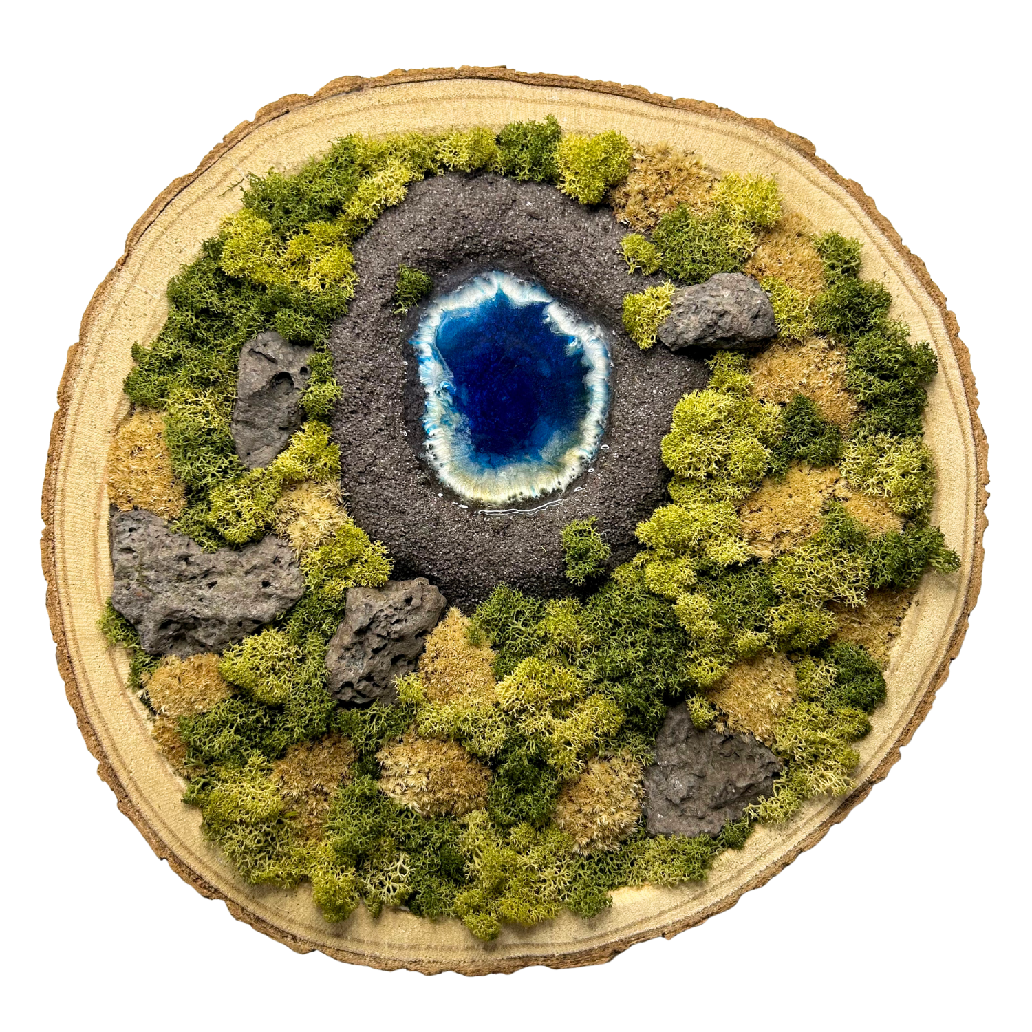 Moosbild in einer natürlichen, echten Baumscheibe. Mit einem modellierten KraterSee mit Wasser aus Resin, einem "Wald" aus konserviertem Moos und echten Steinen (Lava).