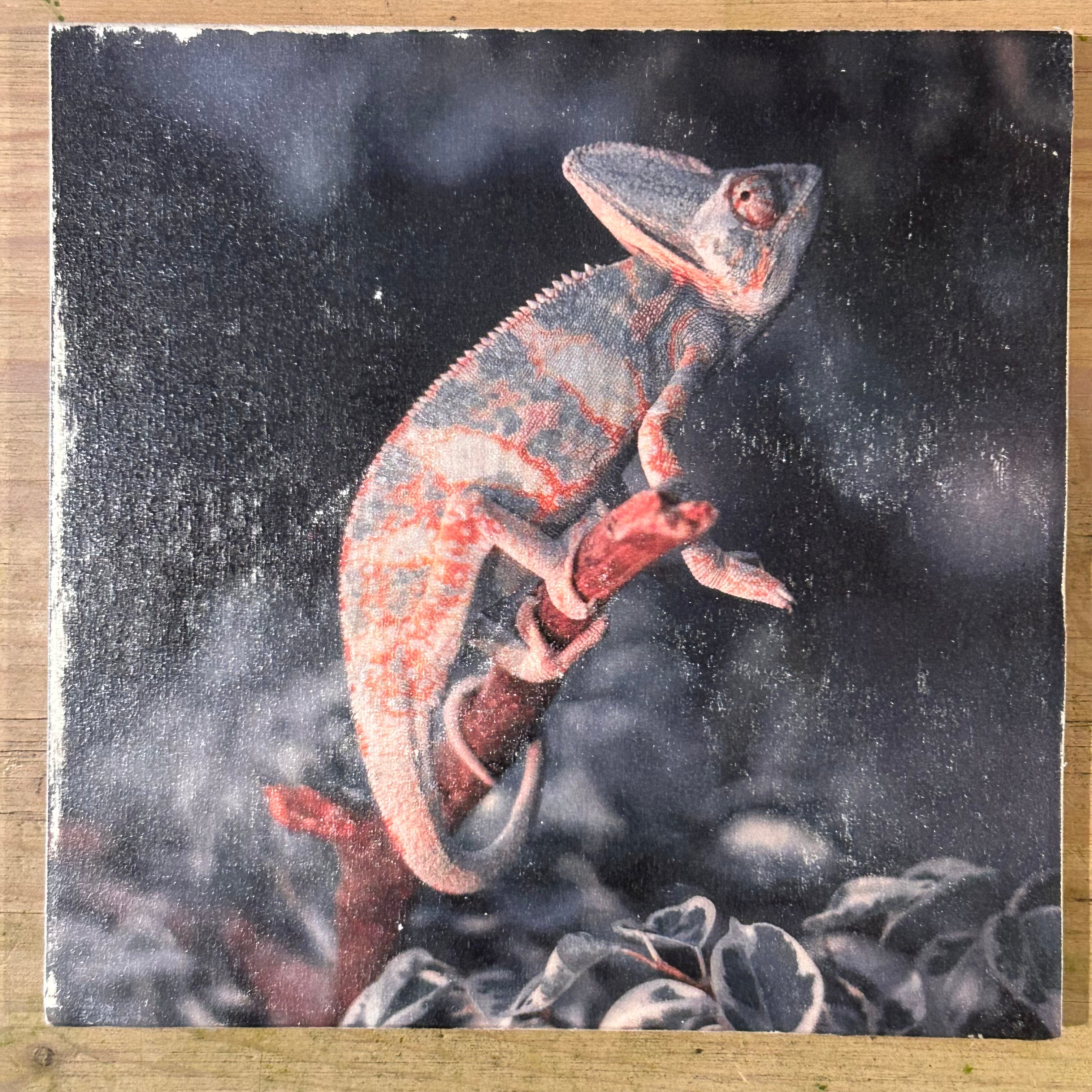 Handgemachtes Holzbild "Chamäleon auf einem Ast". Foto-Transfer auf Holz.