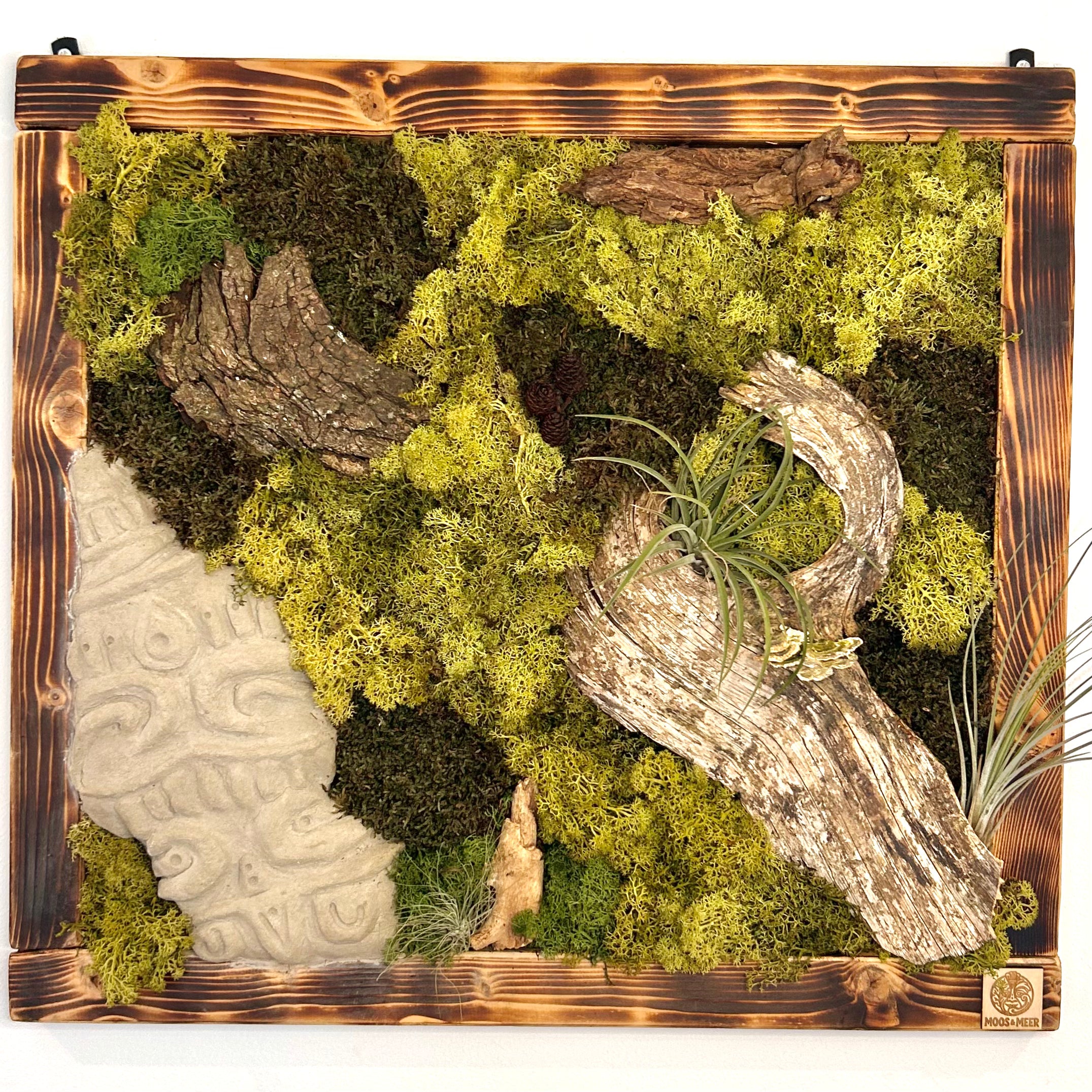 Hier siehst du ein handgefertigtes Moosbild in geflämmtem Holzrahmen, das dich in den Urwald zu längst vergangenen Azteken-Kulturen entführt. Kombination aus konserviertem Moos, Baumrinde, Baumpilzen, Tillandsien (lebend!) und integrierter Beton-Skulptur mit Azteken-Muster.