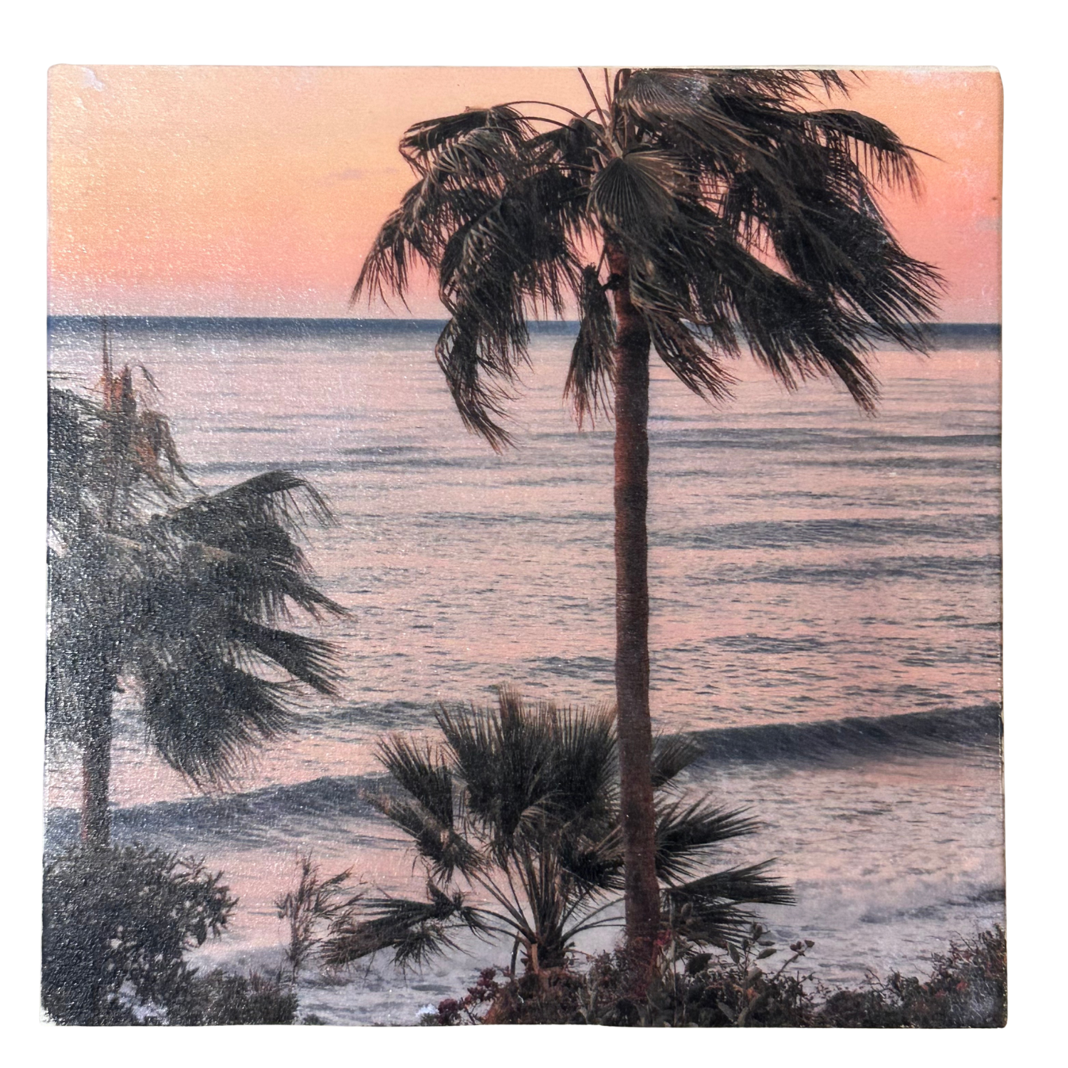 Holzbild "Wind in den Palmen" - 15x15cm | Handgemachter Foto-Transfer auf Holz