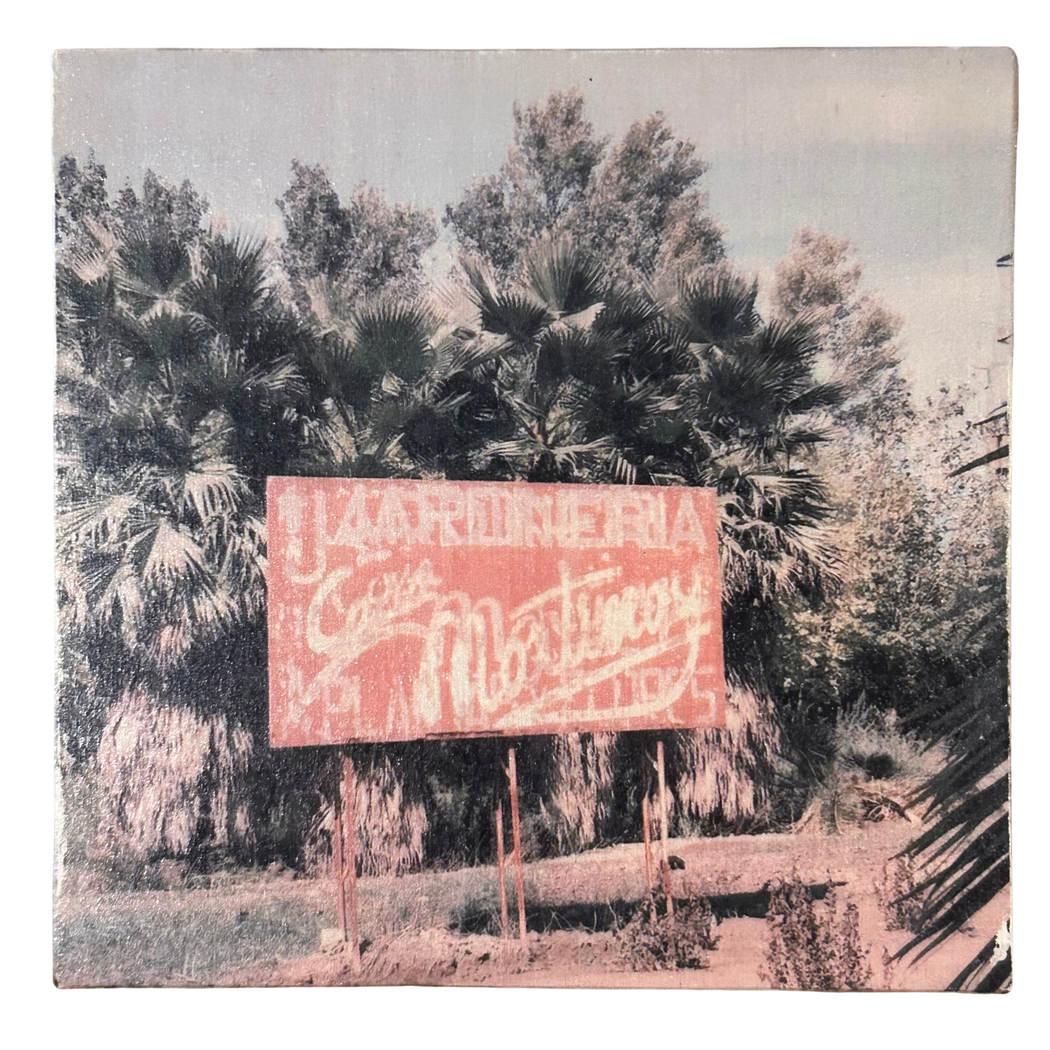 Holzbild "Schild und Palmen" - 15x15cm | Handgemachter Foto-Transfer auf Holz