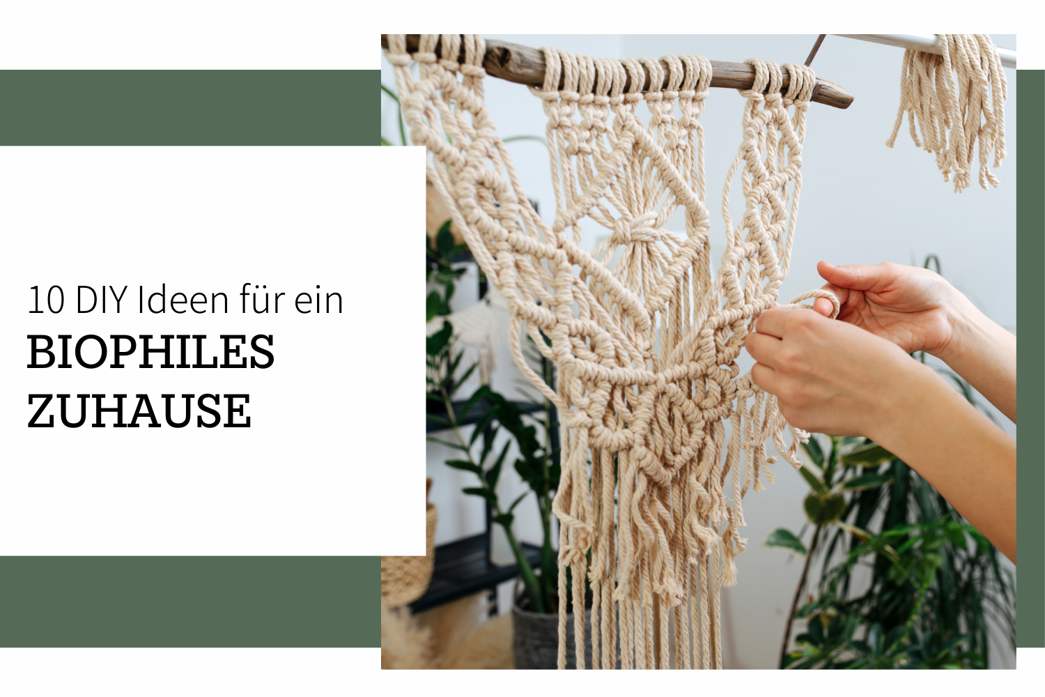 10 DIY Ideen für ein biophiles Zuhause