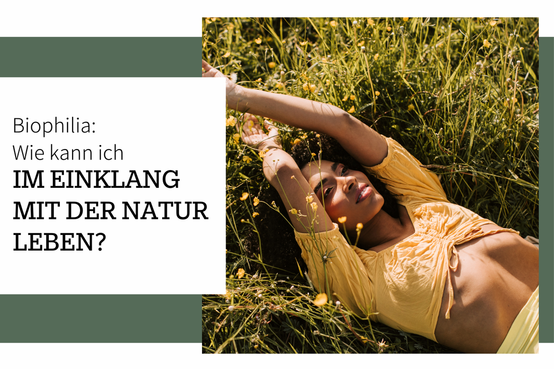 Wie kann ich im Einklang mit der Natur leben?