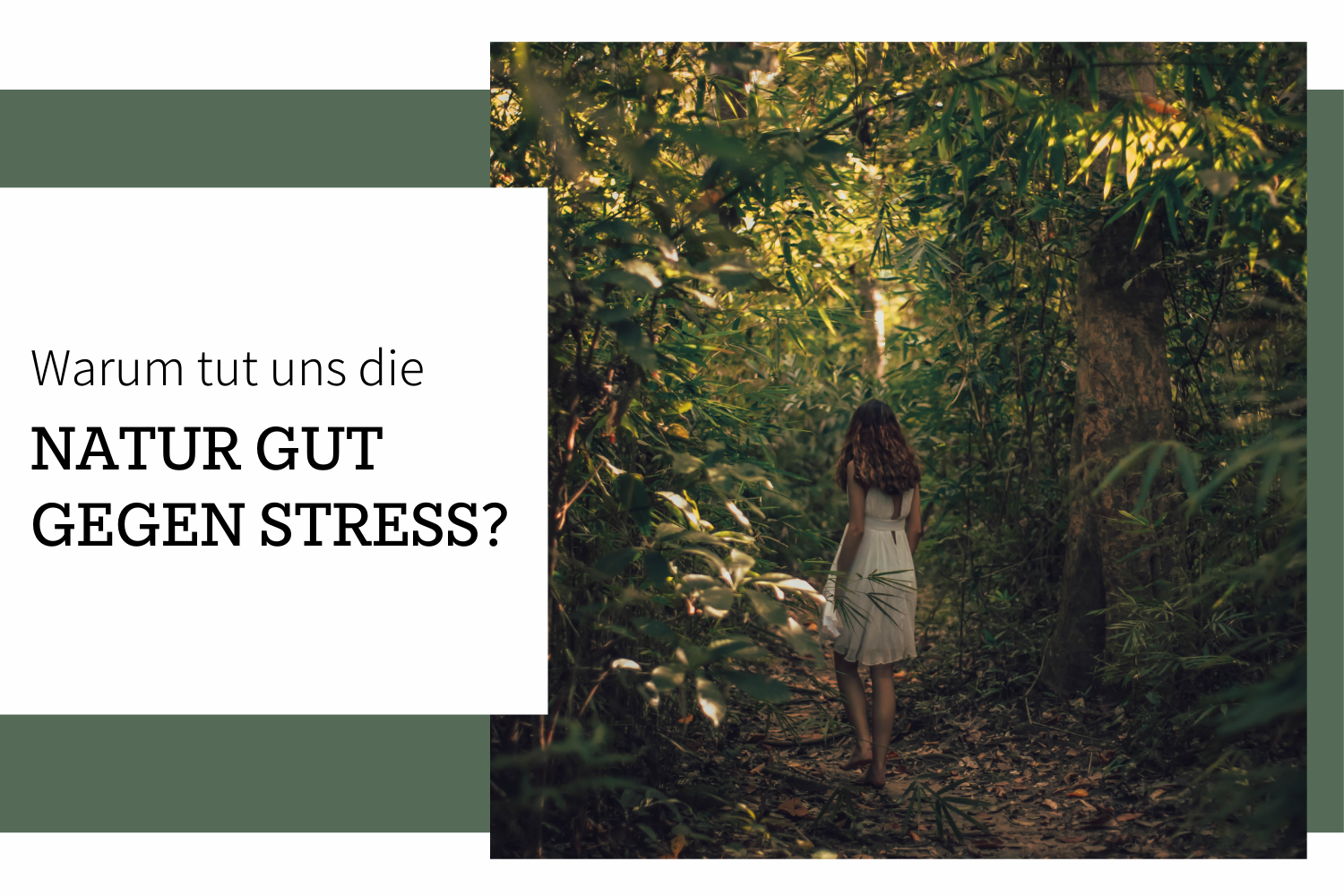Warum ist die Natur gut gegen den Stress?