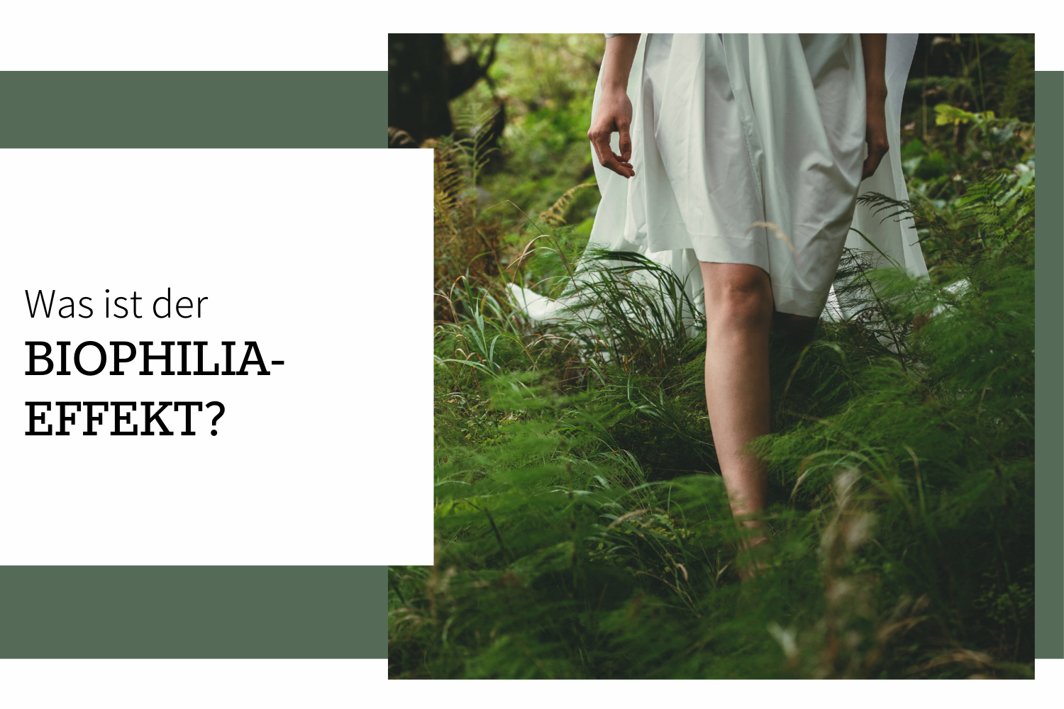 Was ist der Biophilia-Effekt?