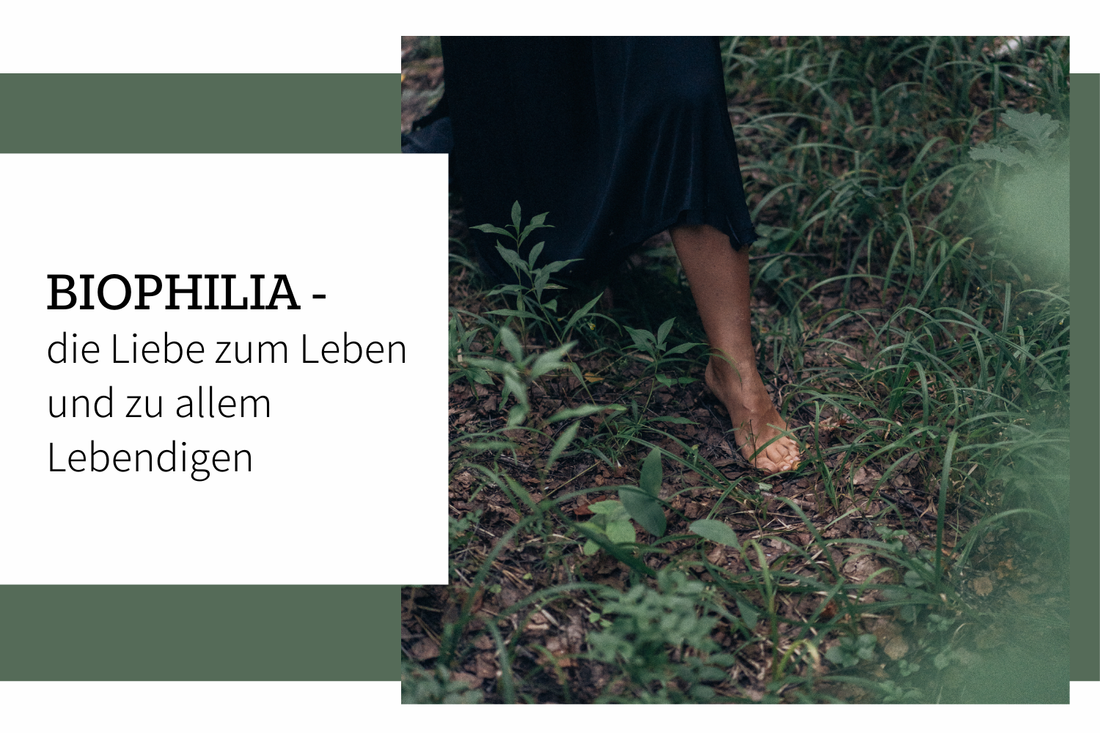 Biophilia - die Liebe zum Leben und allem Lebendigen