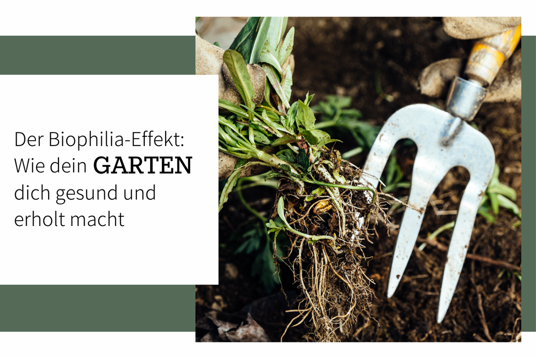 Der Biophilia-Effekt: Wie dein eigener Garten dich gesund und erholt macht