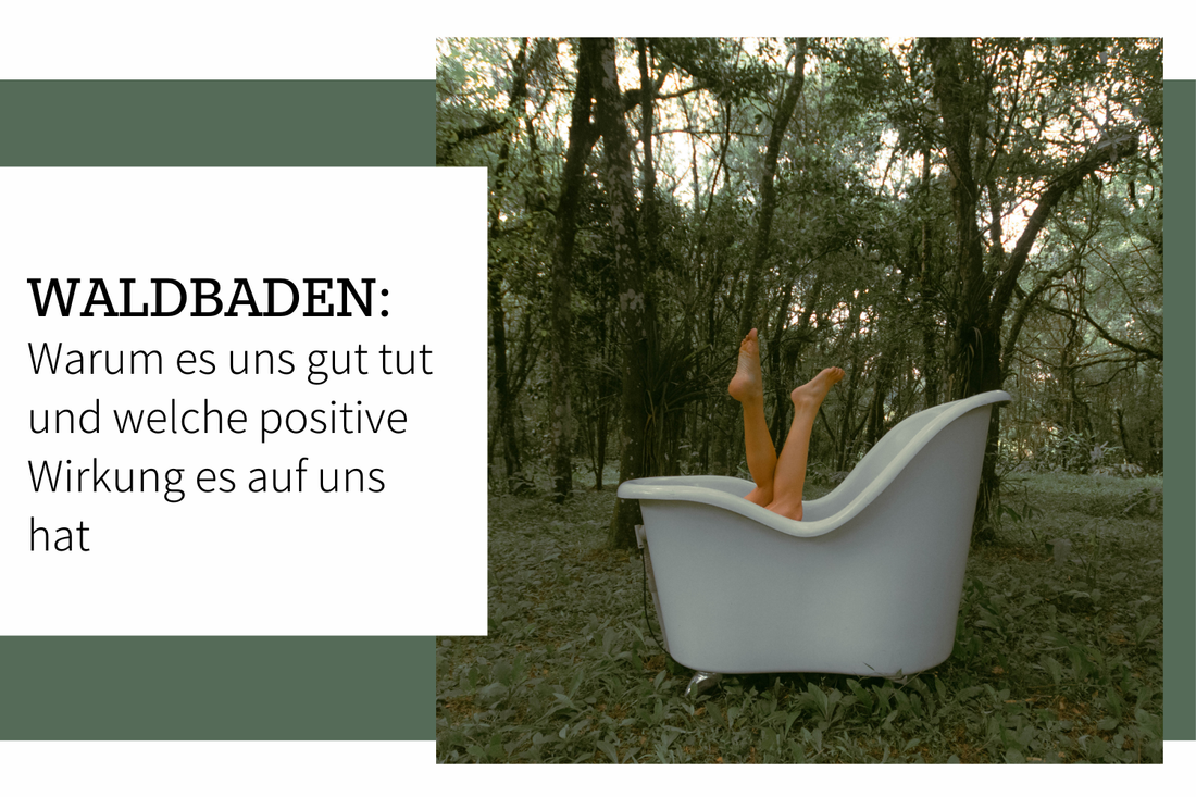 Waldbaden: Warum es uns gut tut und welche positive Wirkung es auf uns hat