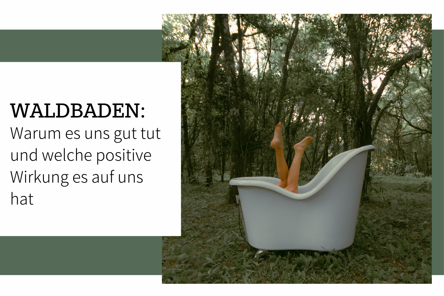 Waldbaden: Warum es uns gut tut und welche positive Wirkung es auf uns hat