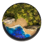 Rundes Moosbild im schwarzen Rahmen mit Epoxidharz-Meer, Strand aus echtem Sand, Pflanzen und Wäldern aus konserviertem, echten Moos, Felsen aus Naturstein. 