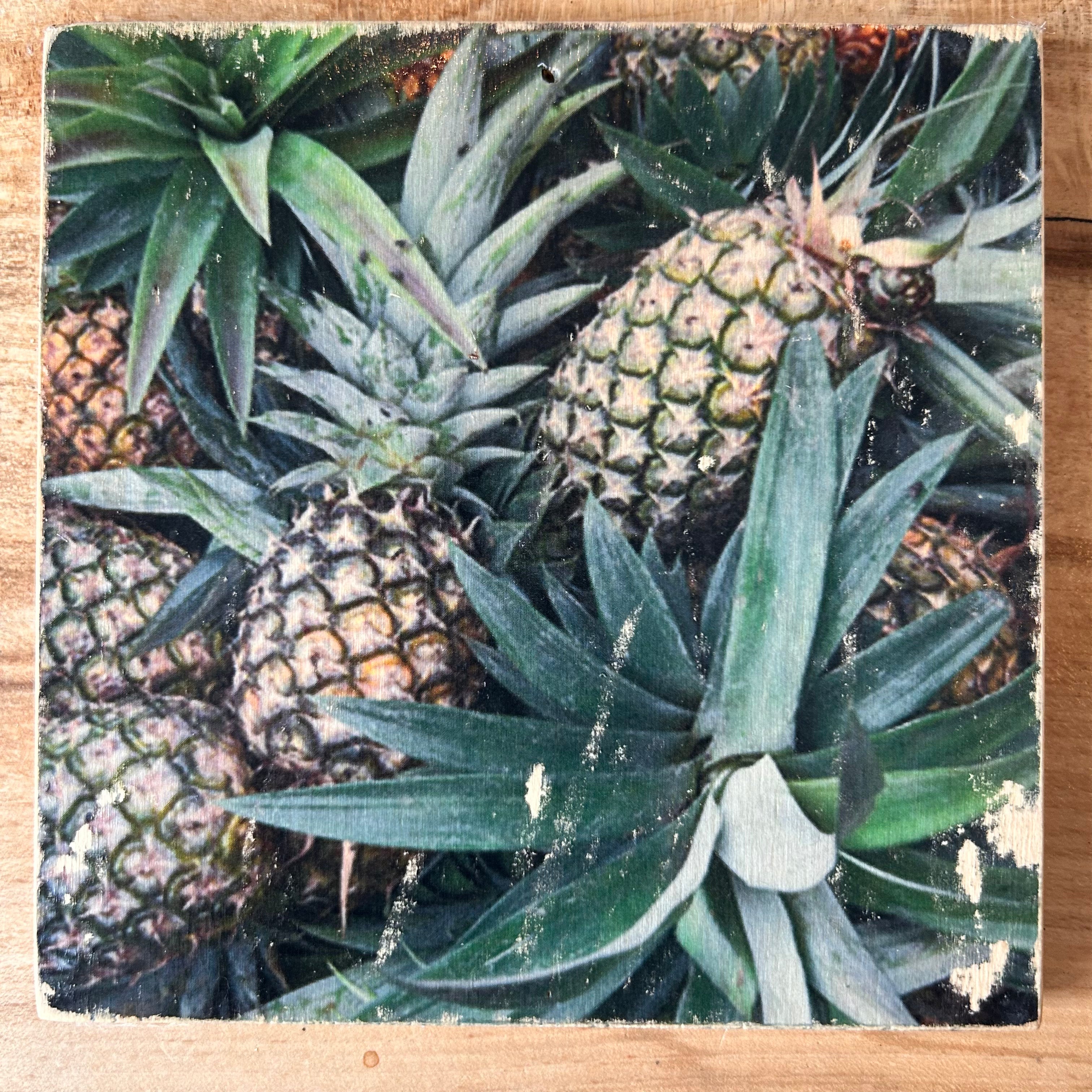 Holzbild mit mehreren Ananas-Früchten, die auf dem Markt quer übereinander liegen. Mit grünen Blättern wir Palmen. Format 15x15cm. Handgefertigter Fotodruck auf Holz 