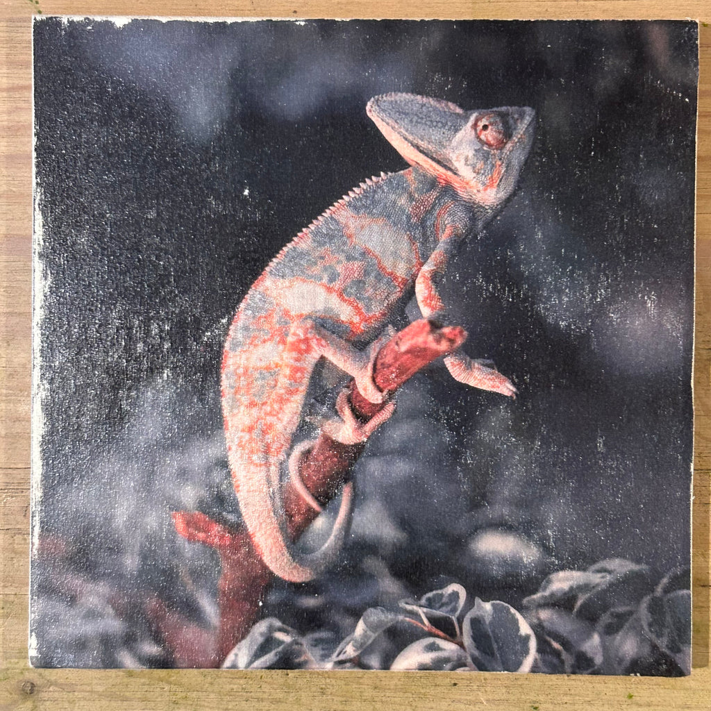 Handgemachtes Holzbild "Chamäleon auf einem Ast". Foto-Transfer auf Holz. 