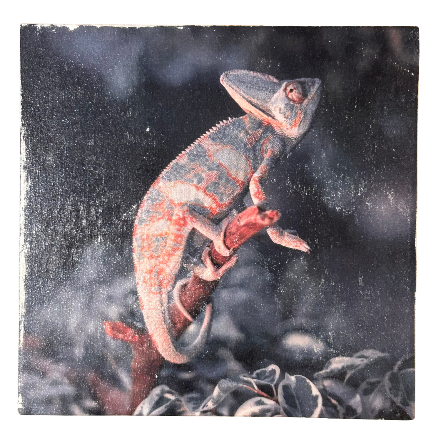 Handgemachtes Holzbild "Chamäleon auf einem Ast". Foto-Transfer auf Holz. 