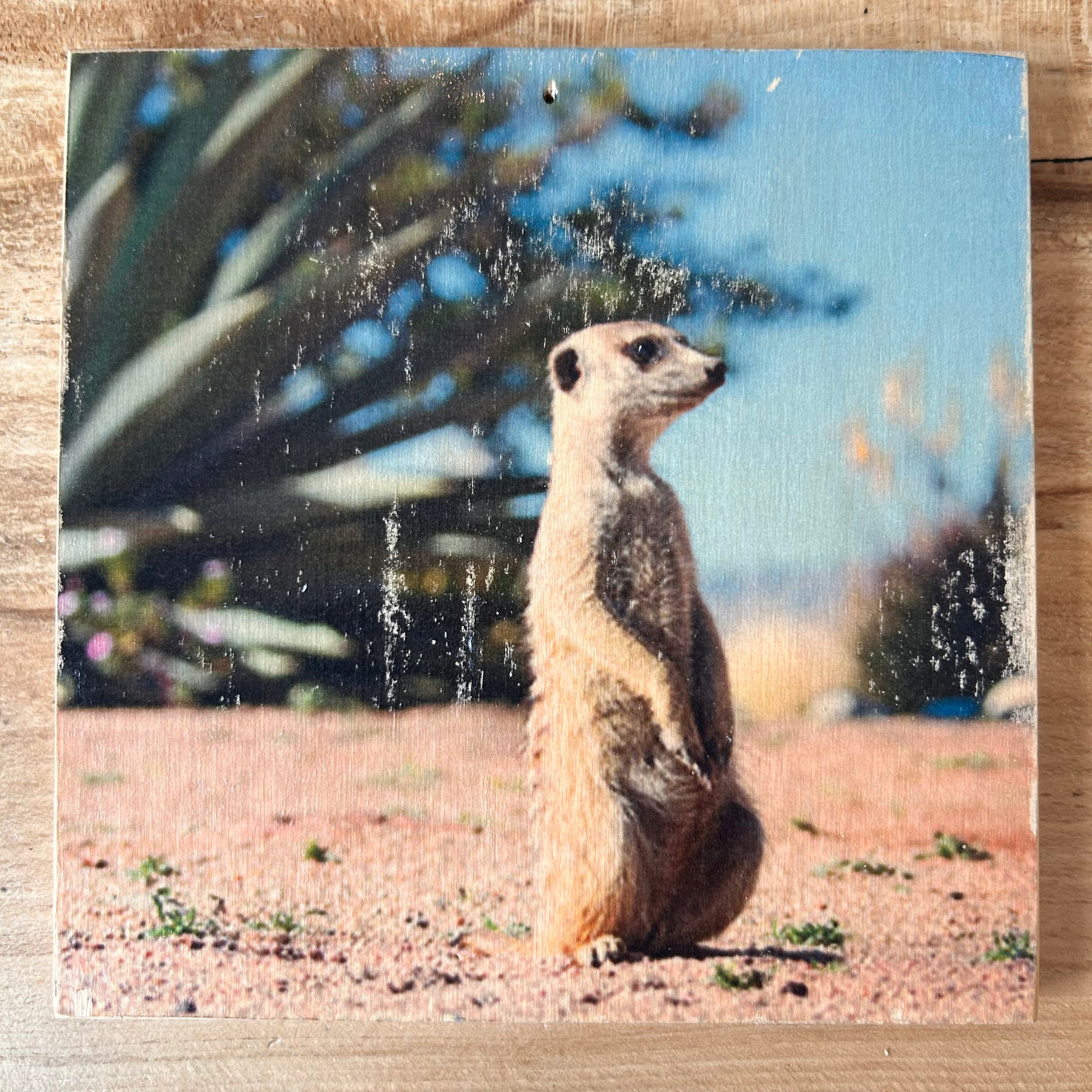 Holzbild mit Ermännchen, das in einer Wüstenlandschaft steht im Format 15x15c. Handgefertigter Fotodruck auf Holz 