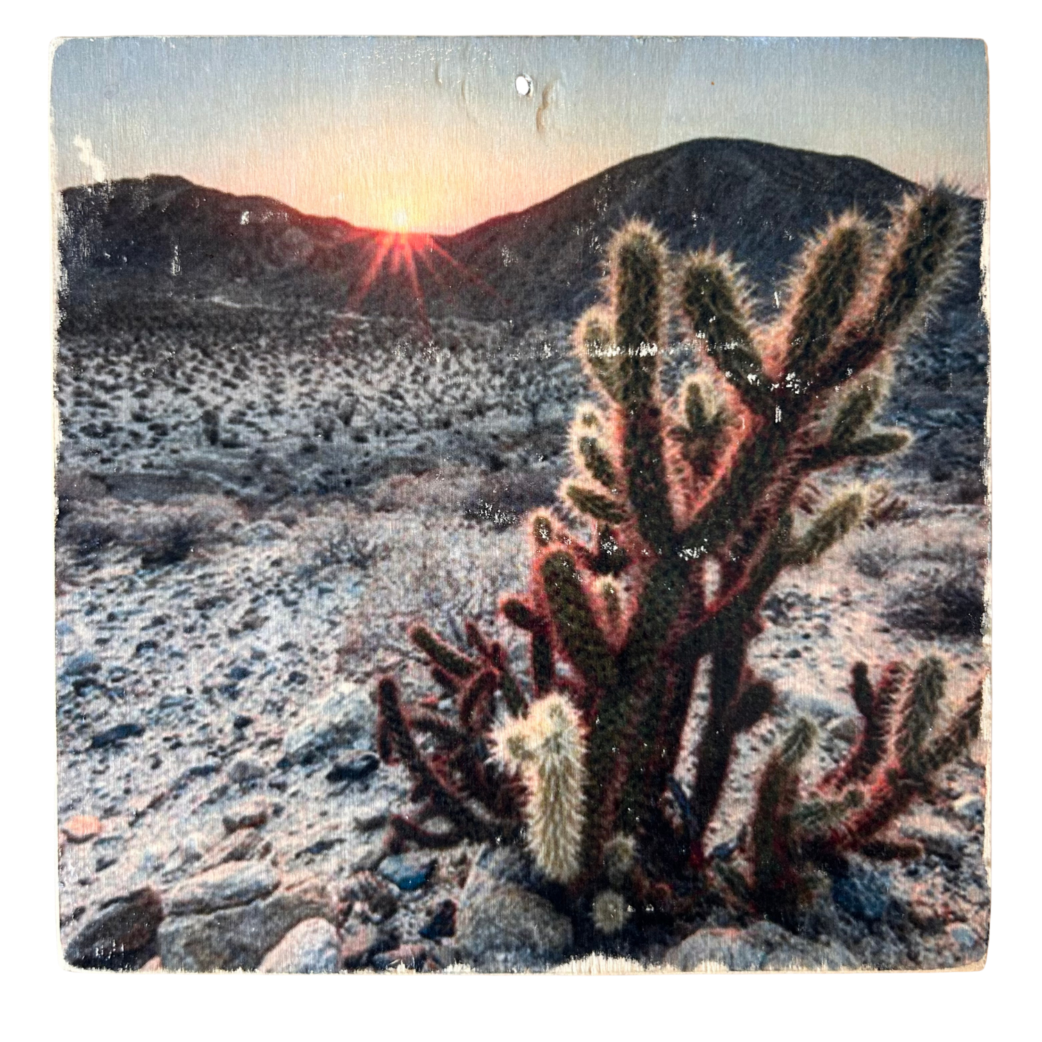 Holzbild mit Kakteen in der Wüste bei Sonnenuntergang. Die Sonne versinkt hinter den Bergen in einer kargen, steinigen Landschaft. Format 15x15cm. Handgefertigter Fotodruck auf Holz 