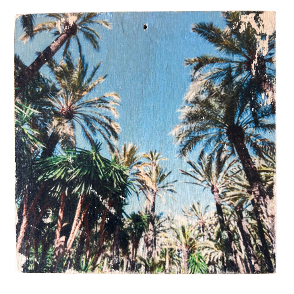 Holzbild mit tropischen Palmen unter blauem Himmel. Format 15x15cm. Handgefertigter Fotodruck auf Holz 