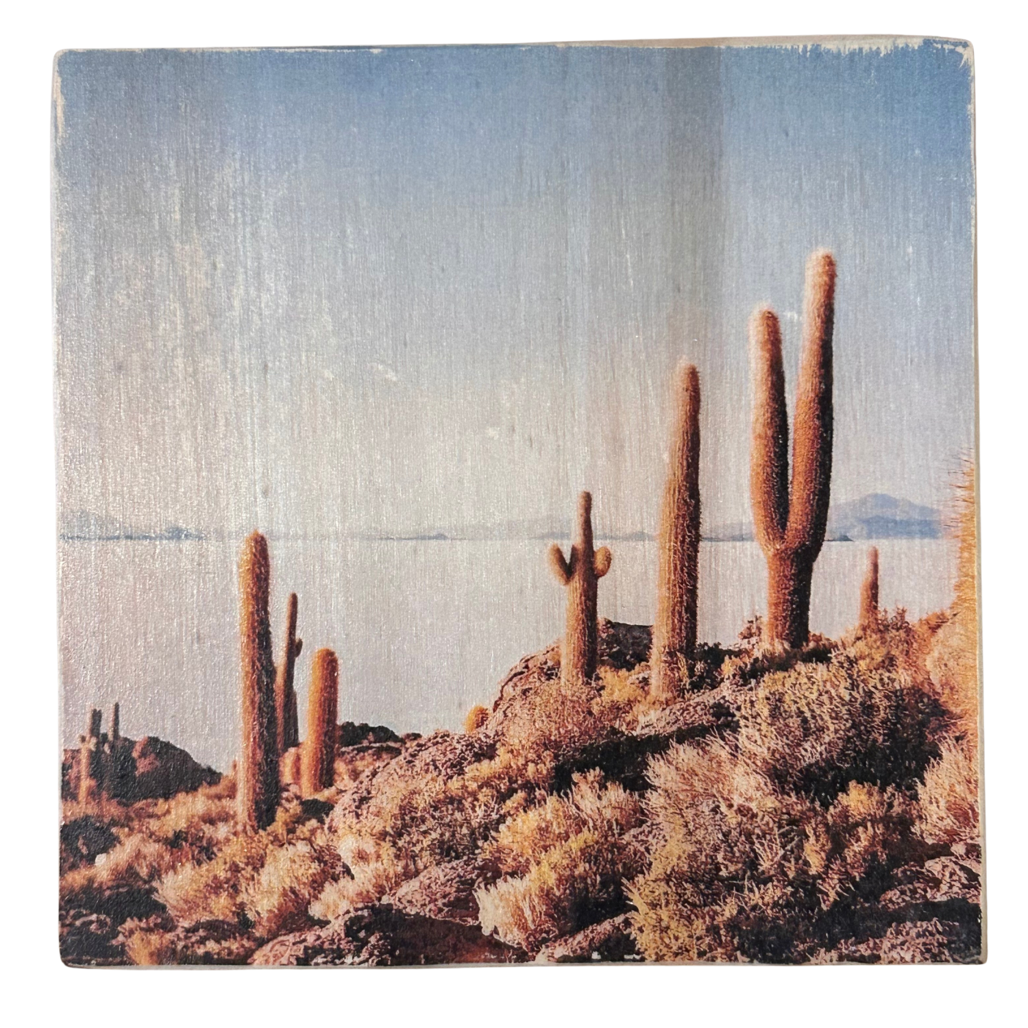 Holzbild "Kakteen am Meer" - 15x15cm | Handgemachter Foto-Transfer auf Holz