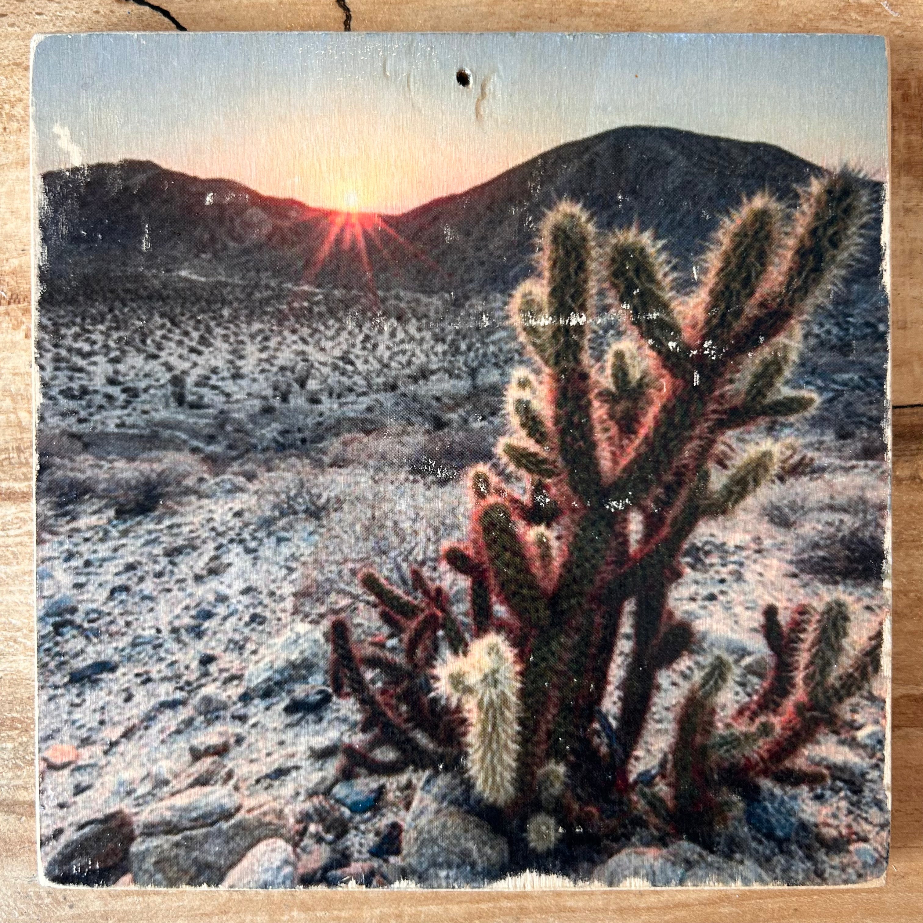 Holzbild mit Kakteen in der Wüste bei Sonnenuntergang. Die Sonne versinkt hinter den Bergen in einer kargen, steinigen Landschaft. Format 15x15cm. Handgefertigter Fotodruck auf Holz 