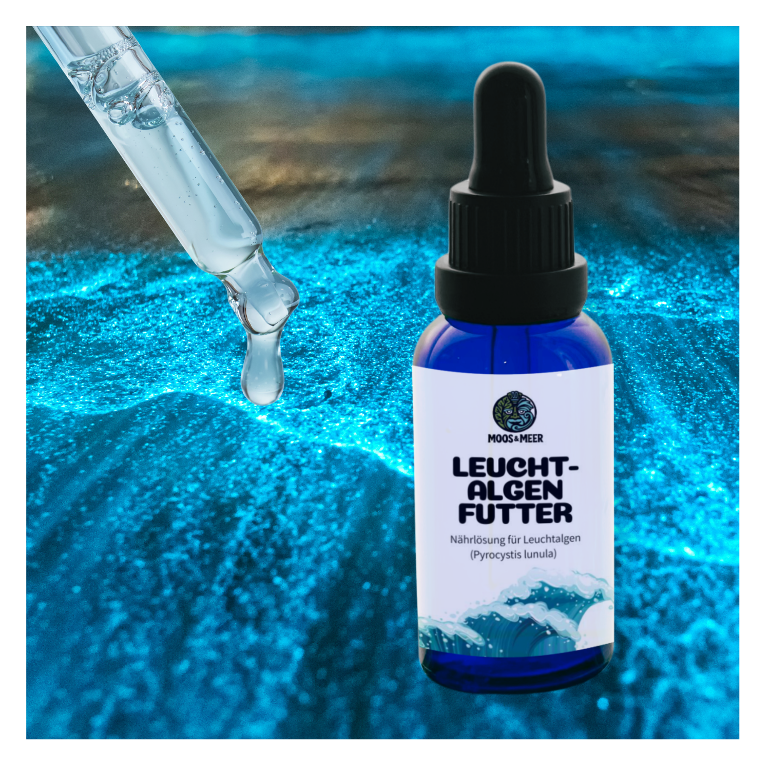 Füttere deine Dinoflagellaten mit dieser Nährlösung für biolumineszente Algen - Nahrung für die Leuchtalge Pyrocystis lunula