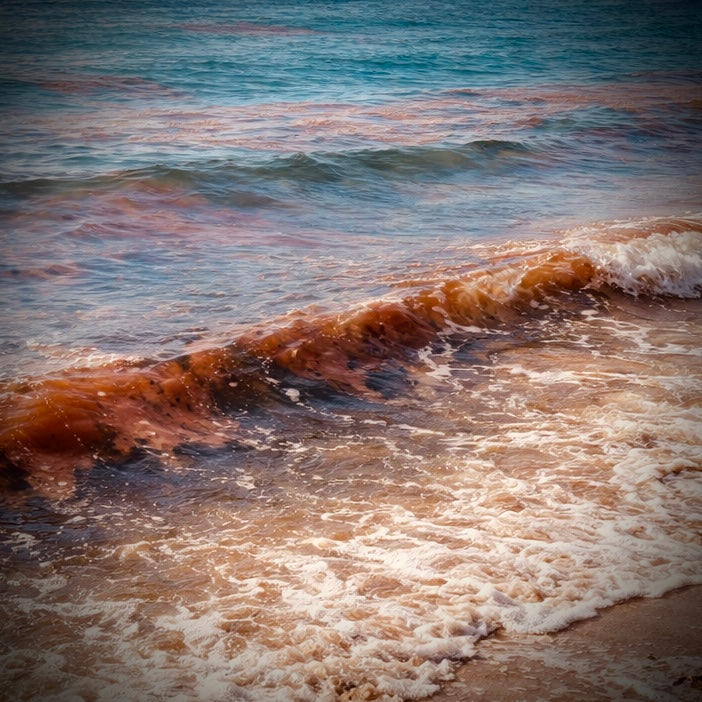 Wenn das Mehr tagsüber lachsrosa oder rostrot leuchtet, kann man mit Glück bei Nacht Meeresleuchten beobachten. 