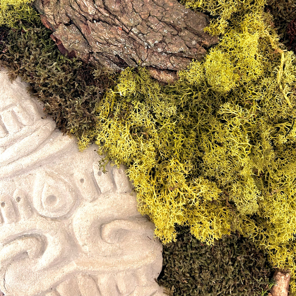 Hier siehst du die Details ein handgefertigtes Moosbild in geflämmtem Holzrahmen, das dich in den Urwald zu längst vergangenen Azteken-Kulturen entführt. Kombination aus konserviertem Moos, Baumrinde, Baumpilzen, Tillandsien (lebend!) und integrierter Beton-Skulptur mit Azteken-Muster. 