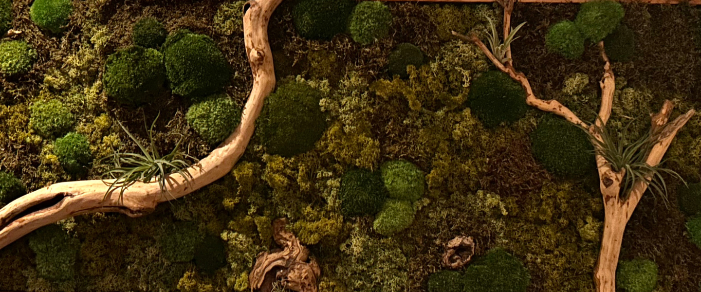 Großes Moosbild in 2m x 1m. Die Landschaft besteht aus Kugelmoos, Rentiermoos, Flachmoos, Treibholz, Baumperlen und Tillandsien. Alles zu einem großen biophilen Naturkunstwerk von Moos und Meer verbunden. 