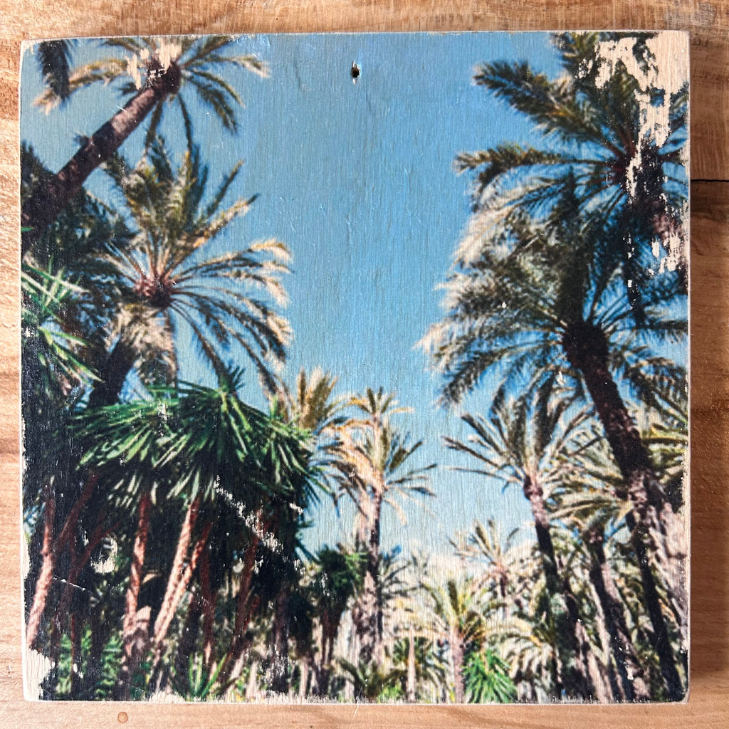 Holzbild mit tropischen Palmen unter blauem Himmel. Format 15x15cm. Handgefertigter Fotodruck auf Holz 