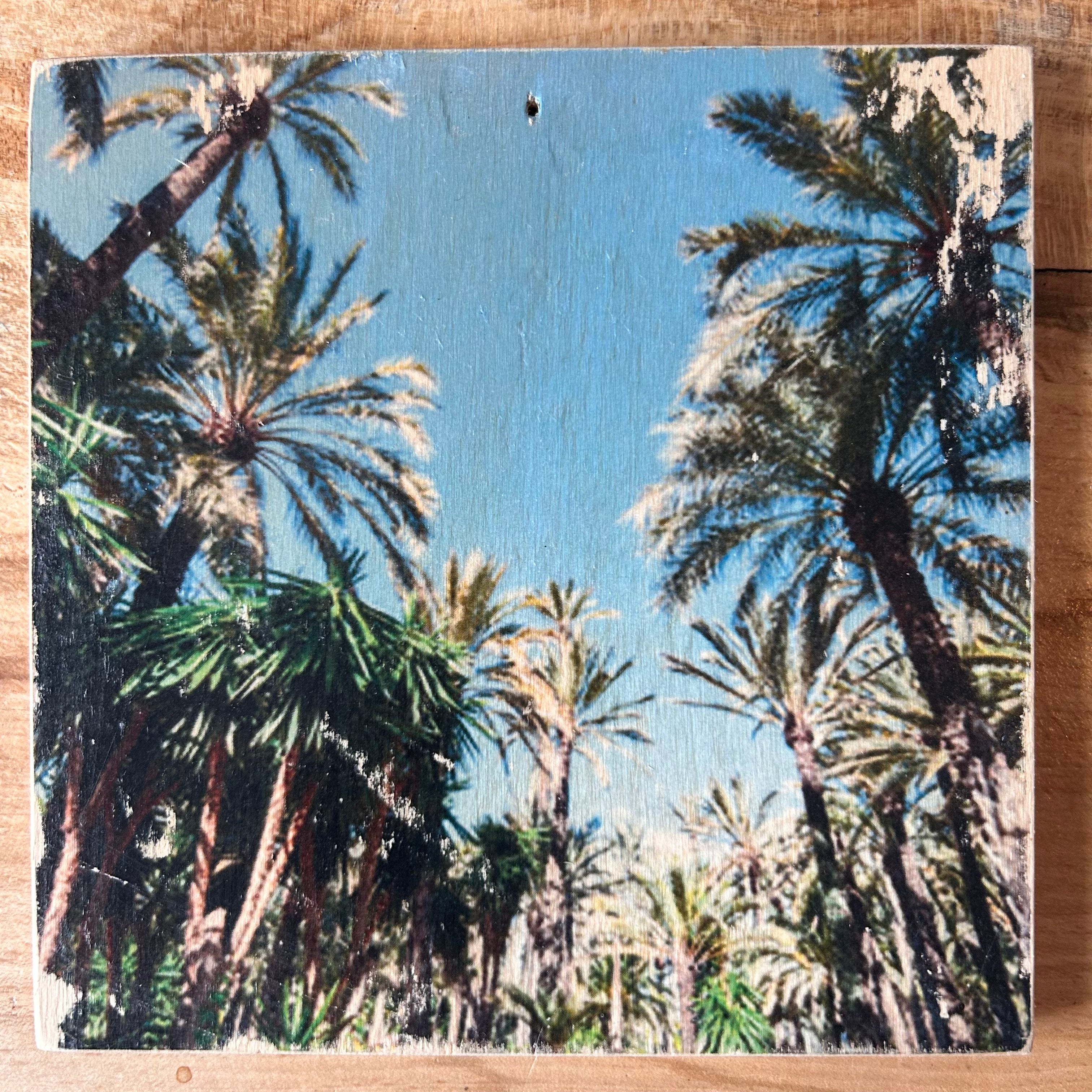 Holzbild mit tropischen Palmen unter blauem Himmel. Format 15x15cm. Handgefertigter Fotodruck auf Holz 