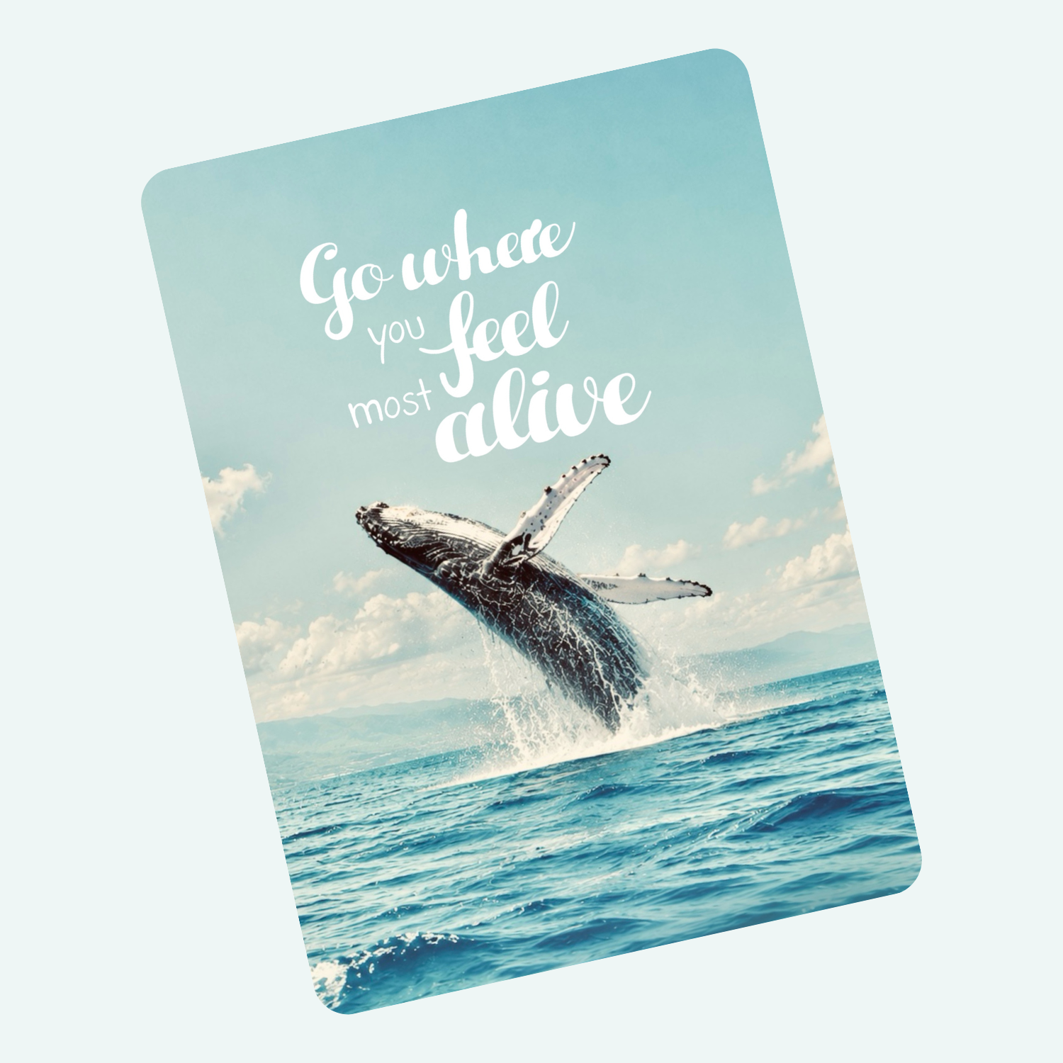 Die Postkarte "Go where you feel most alive" - soll uns daran erinnern, lebendig zu sein und das Leben zu genießen. Motiv: Ein Wal, der voller Freude aus dem Wasser springt.