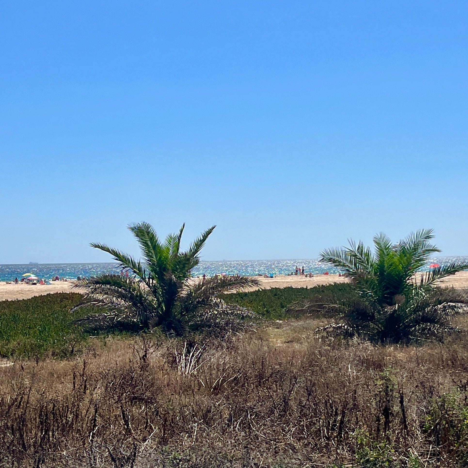 Anhänger mit Kette "Punta Paloma Spirit" -  mit Sand aus Tarifa (Gold)