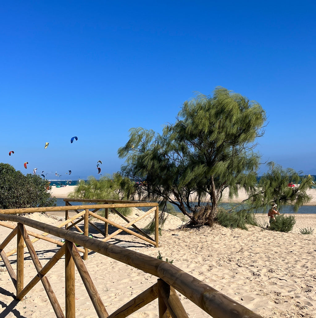 Urlaubsfoto: Punta Paloma Tarifa 