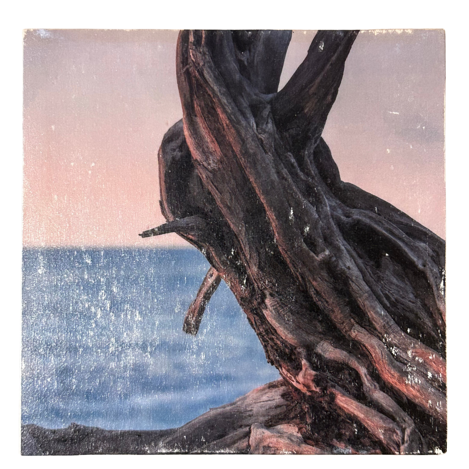 Holzbild "Baum am Meer" - 15x15cm | Handgemachter Foto-Transfer auf Holz