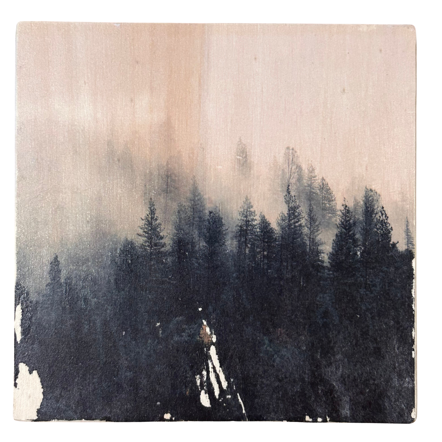 Holzbild "Wald und Nebel-Aktion" - 15x15cm | Handgemachter Foto-Transfer auf Holz